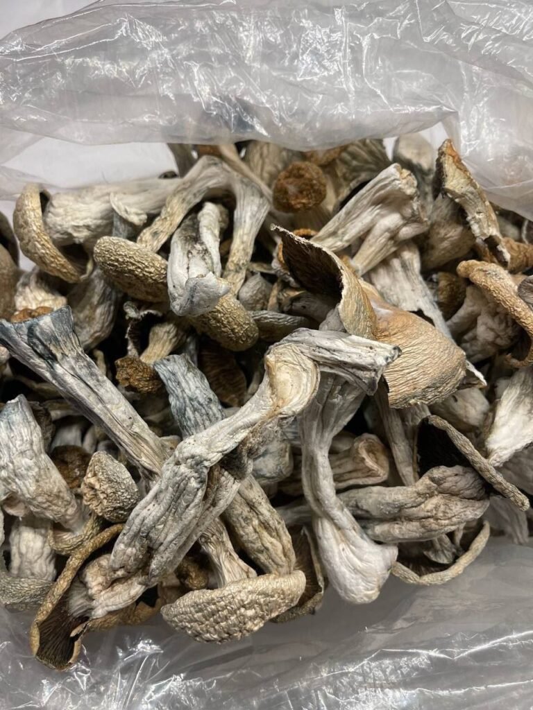 Can We Heal Without Tripping? buy albino penis envy mushroom online us