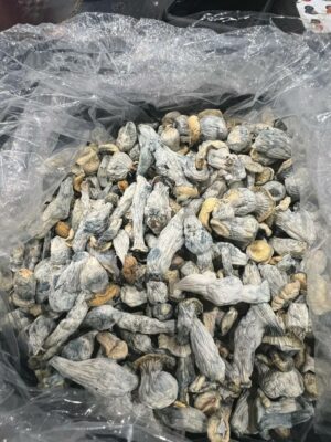 Where do I Buy Dried Penis Envy Mushroom Online Europe
