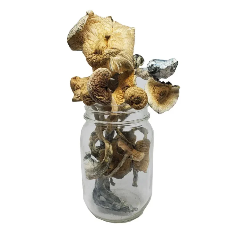 Exploring Psilocybin: The Magic Behind the Mushroom Where Do I Buy Magic Mushroom Online Belgium