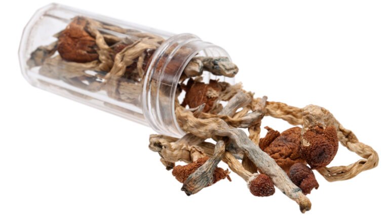 IPN Blog Halloween Special: The Dark Side of Psychedelic Use Where can I Order Psychedelic Mushroom Online Denmark