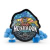 Where do I Buy Sour Tropical Magic Mushroom Gummies Online Europe