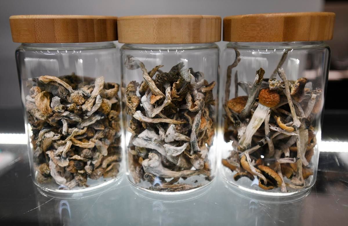 How do I Buy Magic Mushroom Online Hungary
