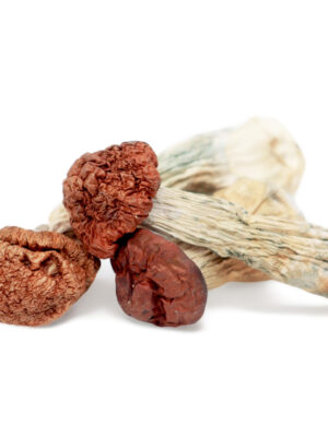 Where can I Order Blue Meanie Magic Mushrooms Online Europe