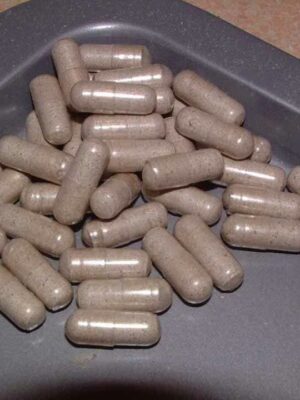 Where can I Order Laughing Gym Mushroom Capsules Online Europe