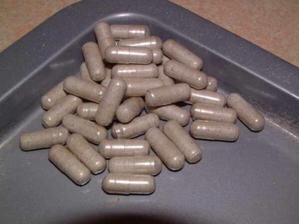Where can I Order Laughing Gym Mushroom Capsules Online Europe