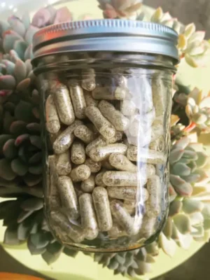 Where can I Order Blue Meanies Psilocybin Mushrooms Capsules Online Europe