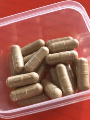 Where can I Order Psilocybe Azurescens Shroom Capsules Online Europe