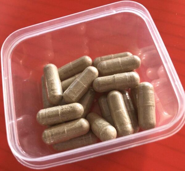 Where can I Order Psilocybe Azurescens Shroom Capsules Online Europe