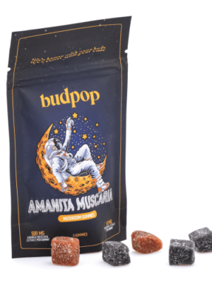 Can You Buy BudPop Amanita Muscaria Mushroom Gummies Online Europe