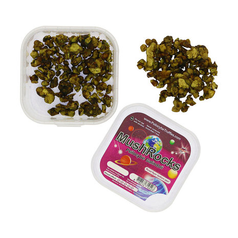 Galindoi 'Mushrocks' Magic Truffles Online Europe Where can I Order Psilocybe Galindoi Magic Truffles Online Europe