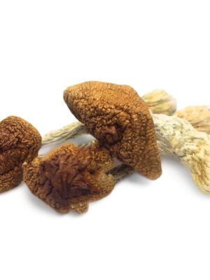 Where do I Order Golden Teacher Magic Mushroom Online Europe
