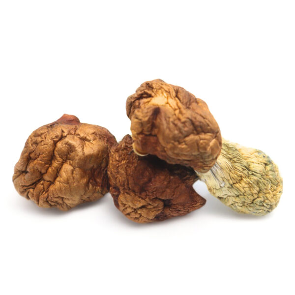 Where do I Order Penis Envy Dino Eggs Magic Mushrooms Online Europe