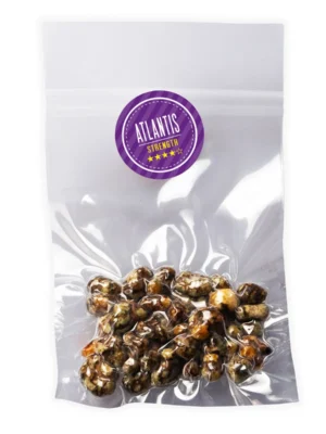 Where Can I Order Psilocybe Atlantis Magic Truffles Online Europe