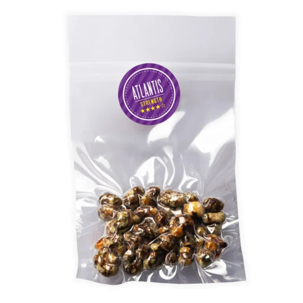 Psilocybe Atlantis Magic Truffles Online Europe Where Can I Order Psilocybe Atlantis Magic Truffles Online Europe