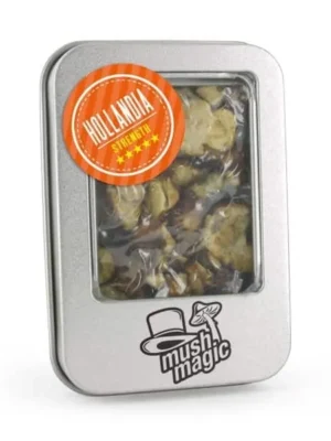 Where can I Order Psilocybe Hollandia Magic Truffles Online Europe