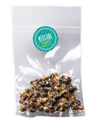 Where can I Buy Psilocybe Mexicana Magic Truffles Online Europe