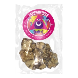 Where can I Order Psilocybe Tampanensis Truffles Online Europe
