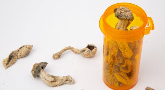 Psychedelic Science 2025: A Convergence of Data, Discovery, and Integration Where can I Order Psychedelic Mushroom Online Serbia