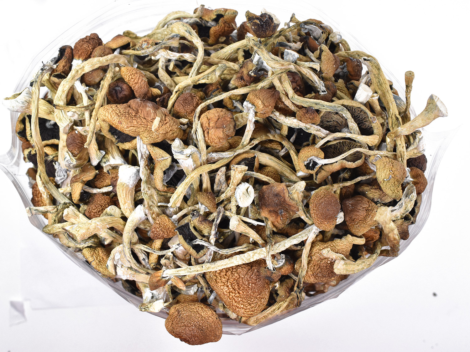 Psilocybin Microdosing 101: Protocols, Dosages, and Tips for Beginners How can I Order Magic Mushroom Discreetly Online Azerbaijan