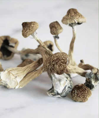 Psilocybin Conference 2024: How Legal Psilocybin Could Shape the Future of Therapy Where can I Order Psychedelic Mushroom Online Portugal