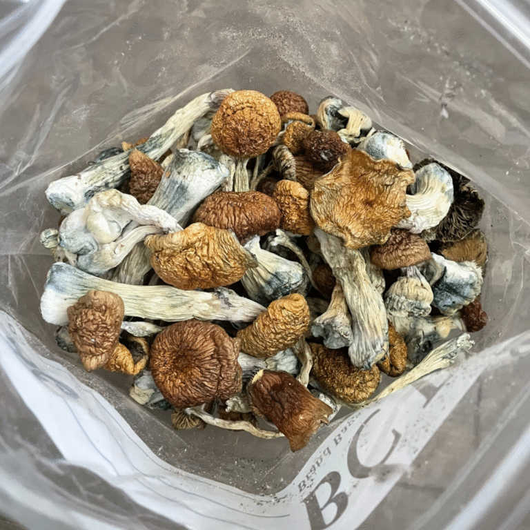 Where can I Order Psychedelic Mushroom Online Romania,