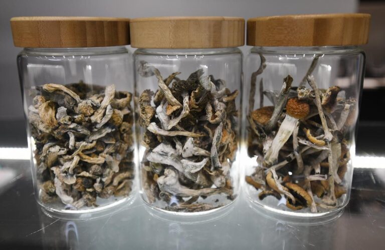 Where Do I Buy Magic Mushroom Online Slovakia