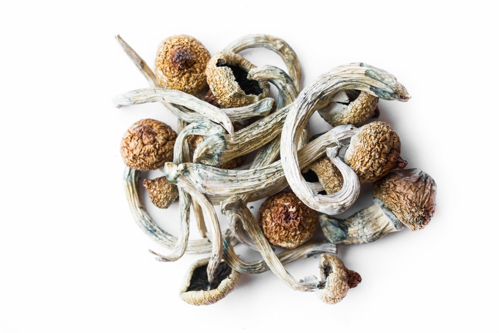 Can Psychedelics Jumpstart Consciousness? Where can I Order Psychedelic Mushroom Online Serbia
