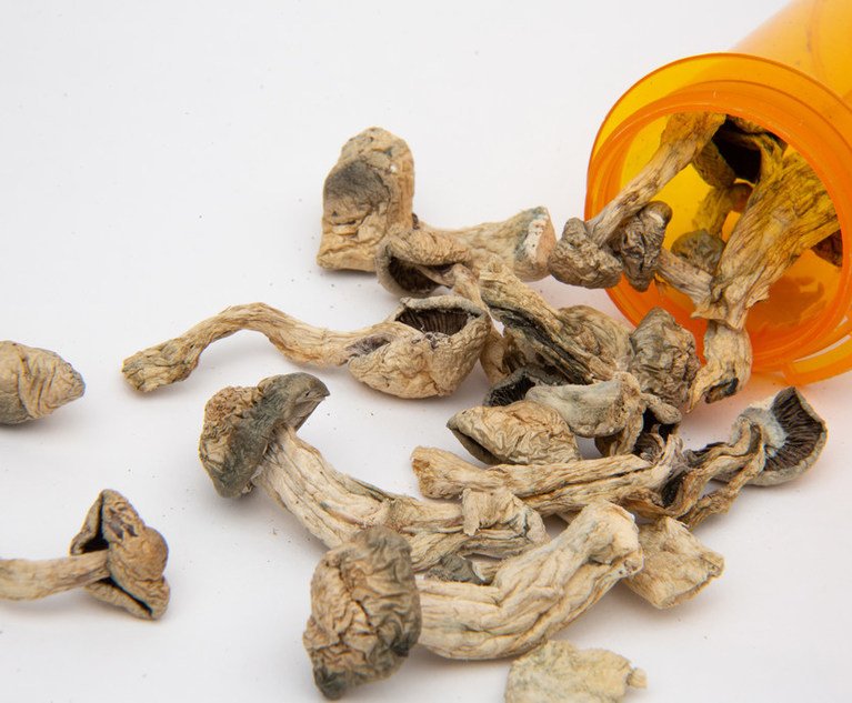 New Michigan Bill Will Legalize Psilocybin Mushrooms for PTSD Patients If Passed Where can I Order Psychedelic Mushroom Online Albania