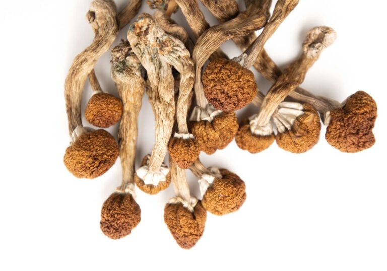 Spiritual Transformations Induced by Psychedelics Boost Mental Healt How do I Buy Microdosing Mushroom Online Georgia